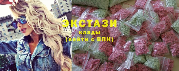 ECSTASY Богданович