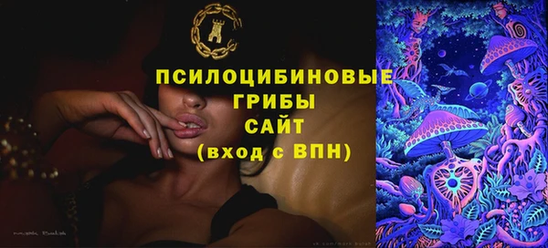 мдпв Березники