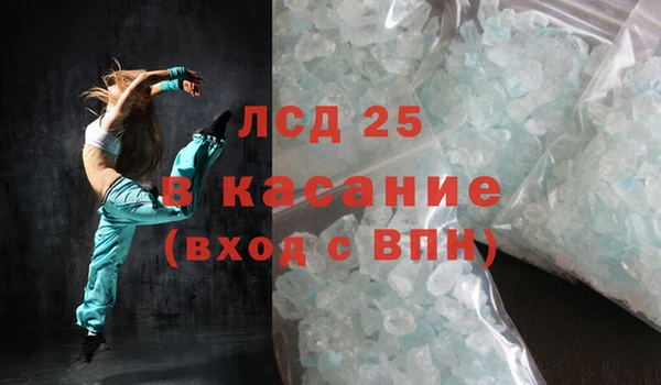 ECSTASY Новоузенск
