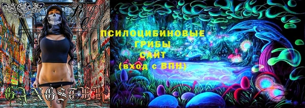 амф Медногорск