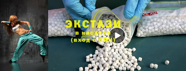 ECSTASY Богданович