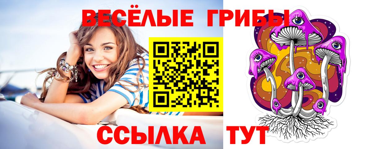 Галлюциногенные грибы GOLDEN TEACHER Качканар
